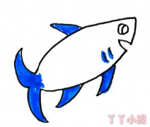 怎么画海洋风格鱼类简笔画带步骤简单又好看涂色