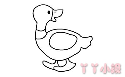 怎么画鸭子简单又好看 鸭子简笔画图片
