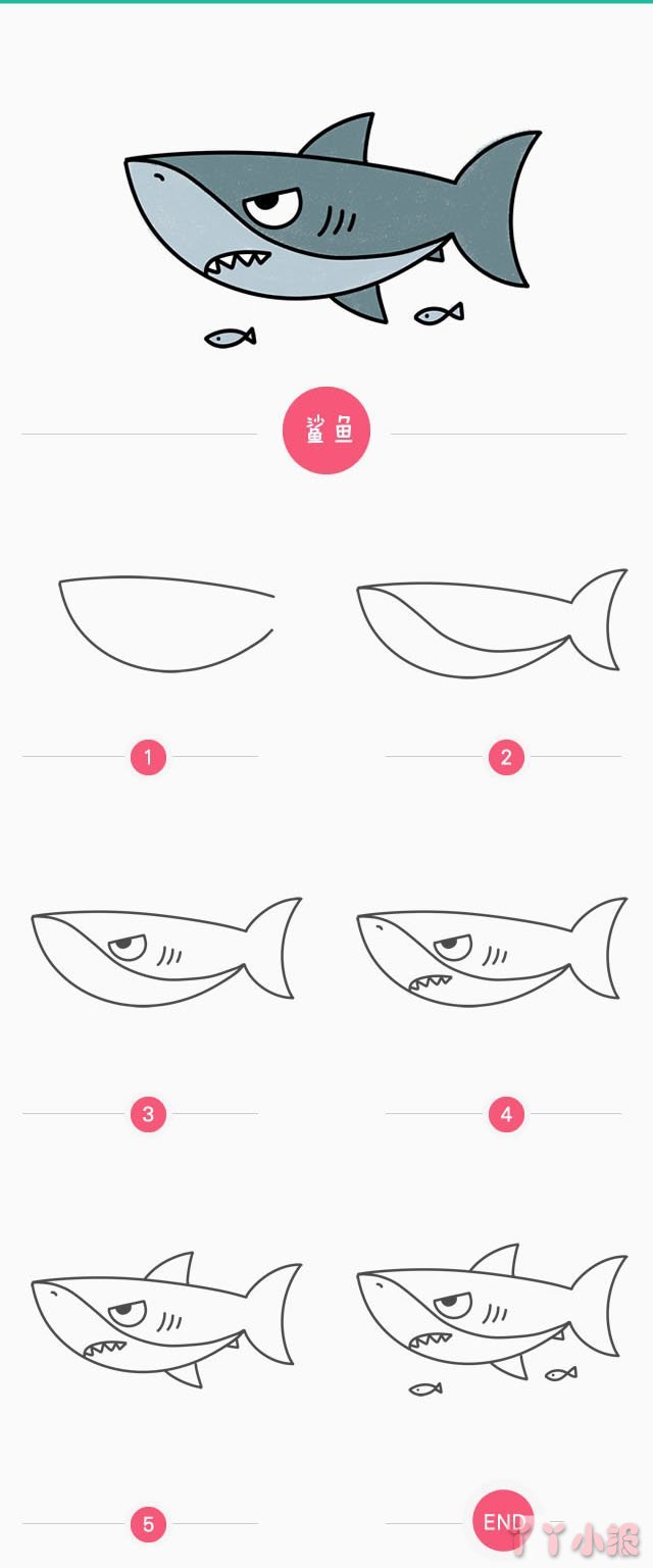 怎么画凶狠的鲨鱼简笔画带步骤简单又好看涂色