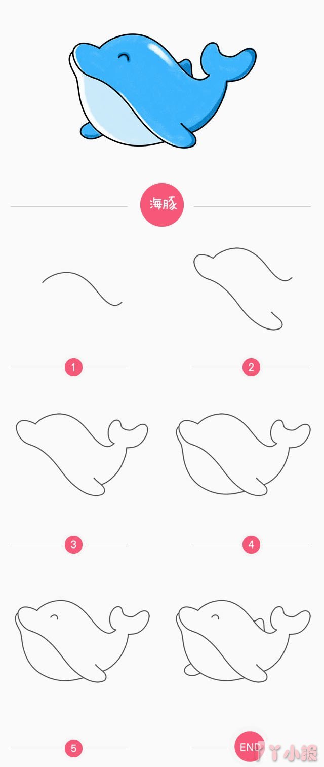 怎么画海豚简笔画带步骤简单又漂亮涂色