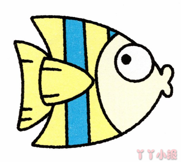 热带鱼的画法简笔画带步骤简单又好看涂色