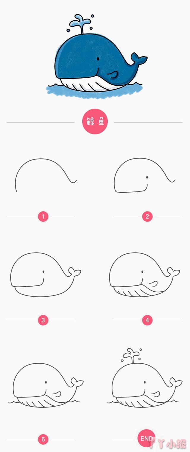 怎么画鲸鱼简单又好看 鲸鱼简笔画图片