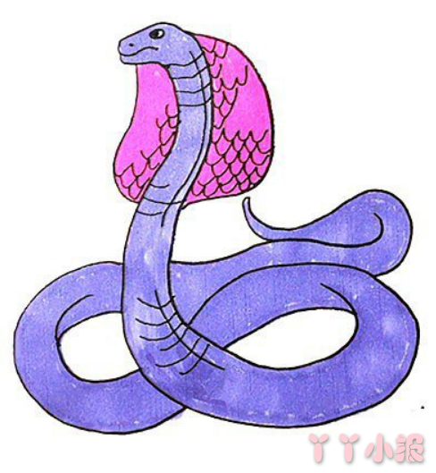 怎么画可怕的眼镜蛇简笔画带步骤简单又好看涂色