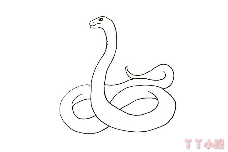 怎么画可怕的眼镜蛇简笔画带步骤简单又好看涂色