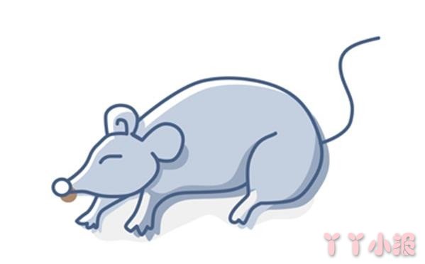 老鼠的画法简笔画带步骤简单又好看涂色