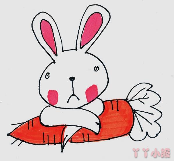 吃萝卜的小白兔怎么绘画带步骤涂颜色