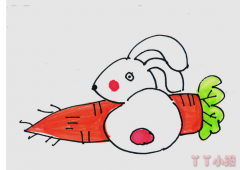吃胡萝卜的卡通小兔简笔画画法图片步骤
