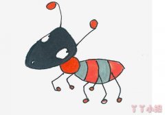 草丛中的蚂蚁简笔画画法图片步骤涂色