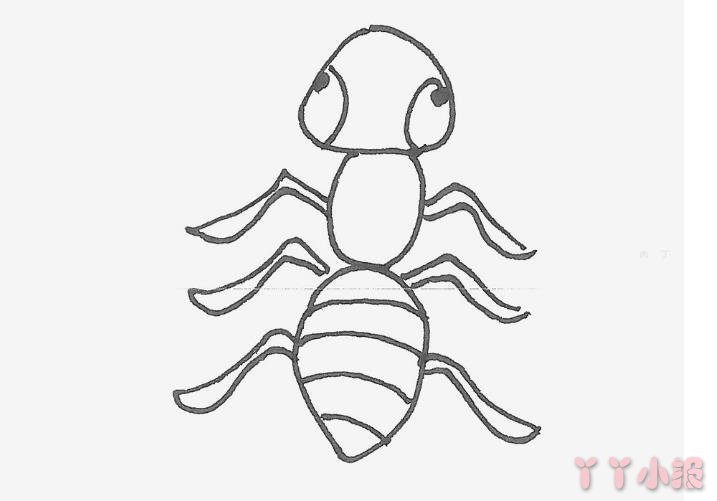 打招呼的小蚂蚁简笔画画法图片步骤