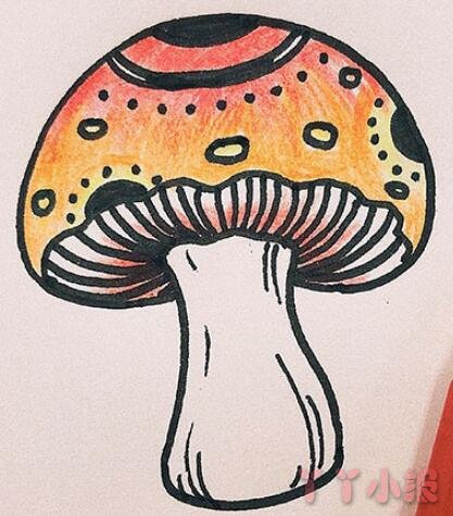 彩色蘑菇简笔画教程图片 彩色蘑菇是怎么画的