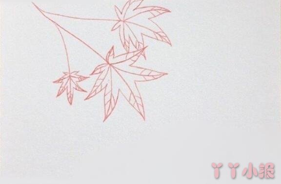 枫叶怎么画简单又漂亮枫叶植物简笔画图片