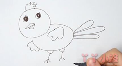 一步一步绘画小鸟简笔画简单又可爱涂色带步骤