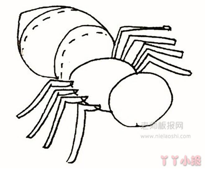 教你一步一步画蜘蛛简笔画带步骤简单又好看