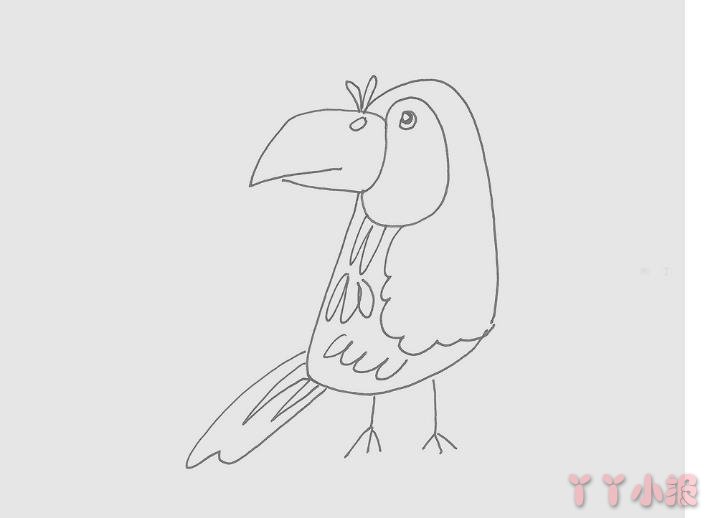 彩色巨嘴鸟简笔画画法图片步骤