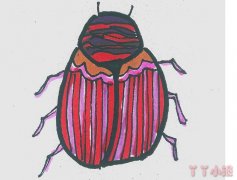 七星瓢虫简笔画怎么画涂色 小瓢虫画法简单