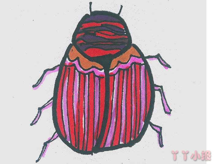 简笔画色彩瓢虫怎么画好看 小瓢虫画法