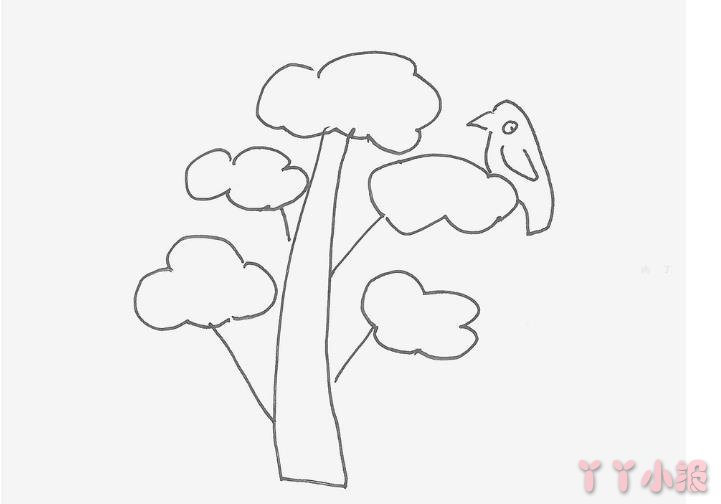 大树的画法简笔画带步骤简单又好看涂色