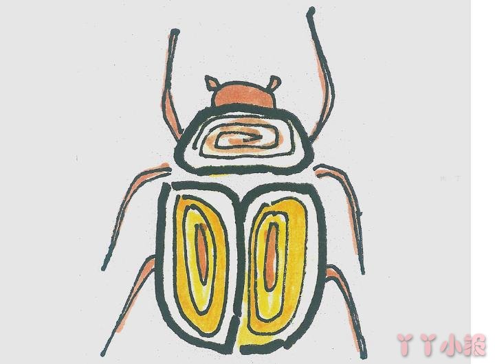瓢虫怎么画好看带步骤涂色 瓢虫简笔画图片