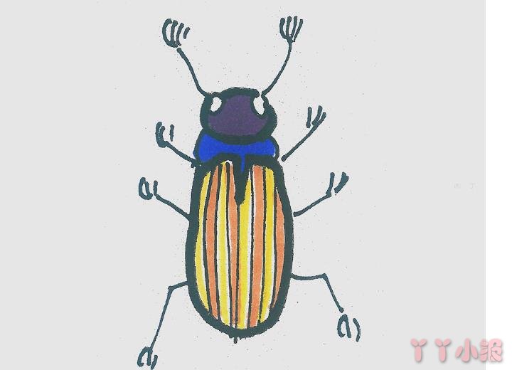 怎么画甲虫简单又好看带步骤 甲虫简笔画图片