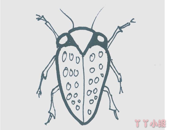 怎么画甲壳虫简单又好看带步骤 甲壳虫简笔画图片