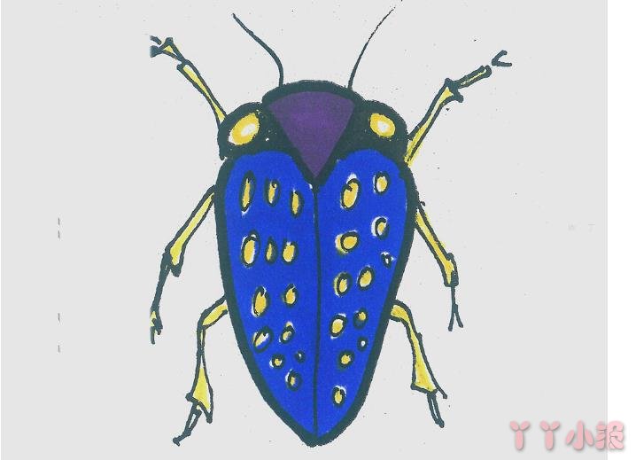 怎么画甲壳虫简单又好看带步骤 甲壳虫简笔画图片