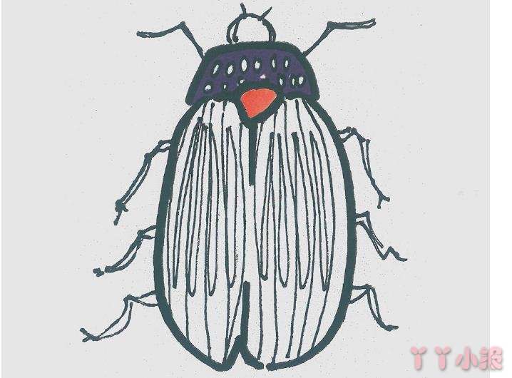 怎么画自瓢虫简单又可爱带步骤 瓢虫简笔画图片