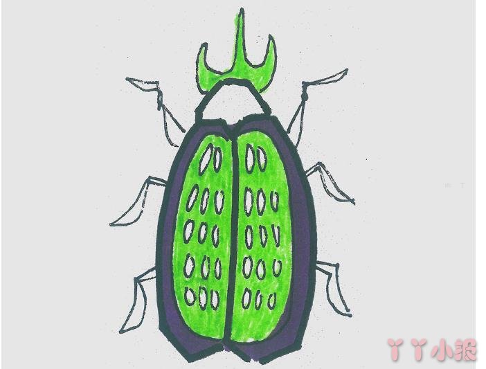 怎么画甲壳虫简单又可爱带步骤 甲壳虫简笔画图片