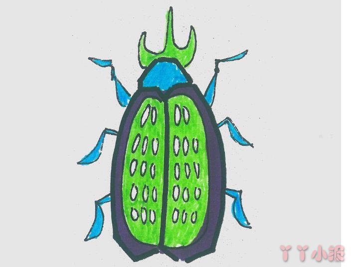 怎么画甲壳虫简单又可爱带步骤 甲壳虫简笔画图片