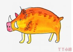 儿童画野猪怎么画带步骤涂色 野猪简笔画图片