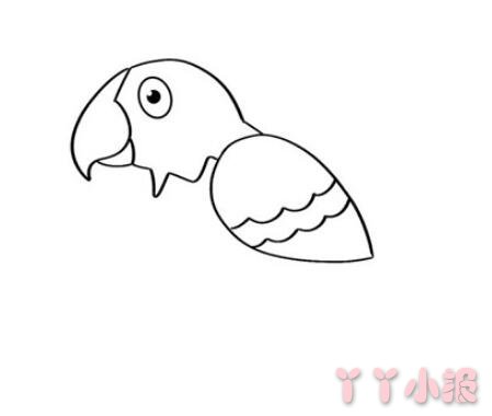 鹦鹉简笔画图片 鹦鹉怎么画的