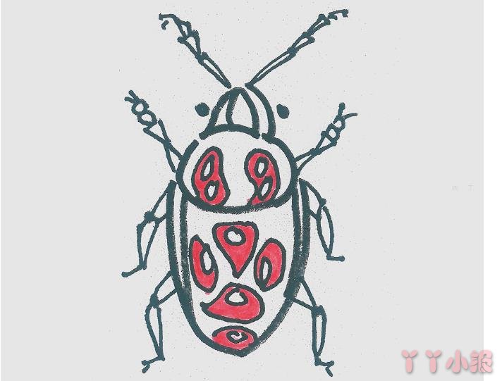 甲虫怎么画好看带步骤涂色 甲虫简笔画图片