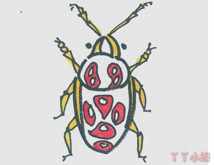 甲虫怎么画好看带步骤涂色 甲虫简笔画图片