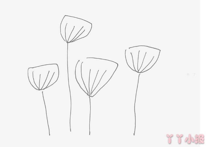 怎么画罂粟花简单又好看带步骤 罂粟花简笔画图片