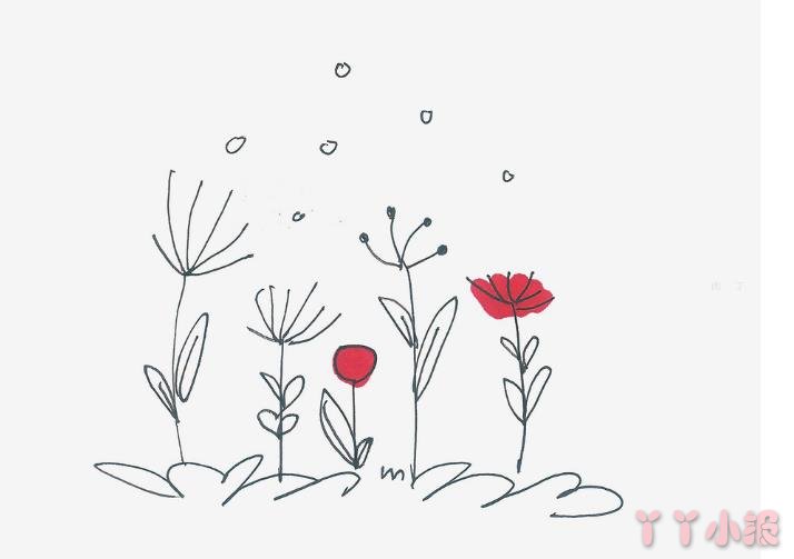 怎么画罂粟花简单又可爱带步骤 罂粟花简笔画图片