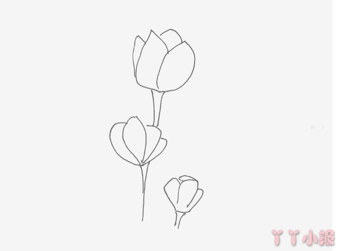 怎么画罂粟花简单又漂亮带步骤 罂粟花简笔画图片