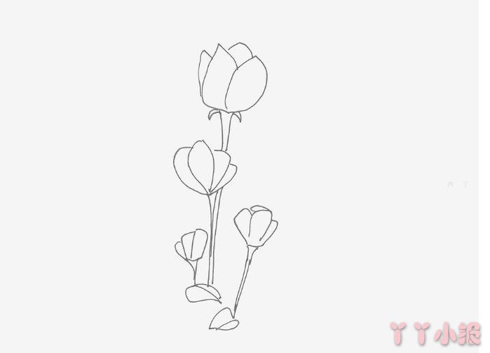 怎么画罂粟花简单又漂亮带步骤 罂粟花简笔画图片