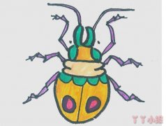 瓢虫怎么画漂亮带步骤涂色 瓢虫简笔画图片