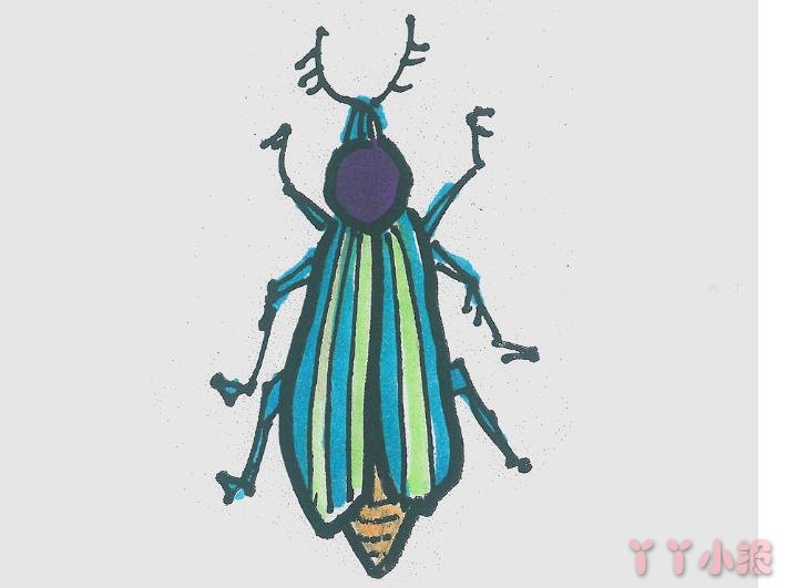 怎么画甲虫简笔画带步骤简单又好看涂色