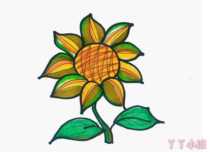 怎么画向日葵简单又好看带步骤 向日葵简笔画图片