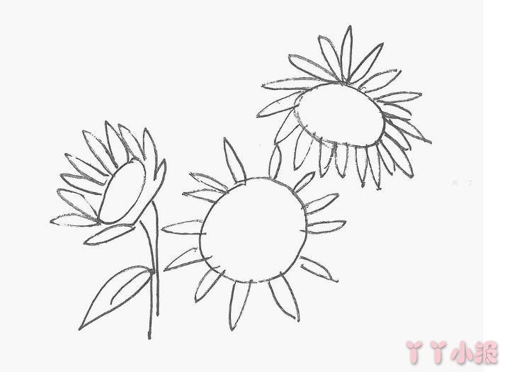 怎么画向日葵简单又漂亮带步骤 向日葵简笔画图片