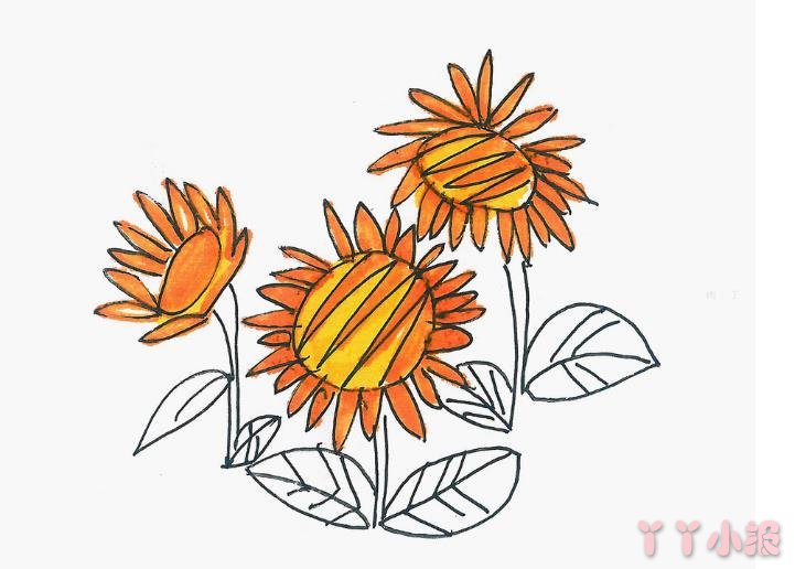 怎么画向日葵简单又漂亮带步骤 向日葵简笔画图片