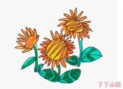怎么画向日葵简单又漂亮带步骤素描 向日葵简笔画图片