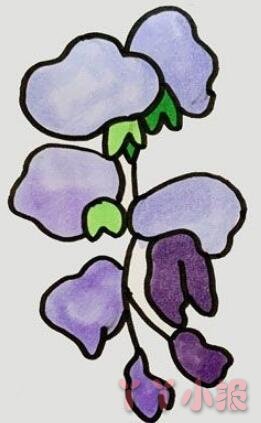 紫藤花的画法步骤涂颜色 紫藤花简笔画图片
