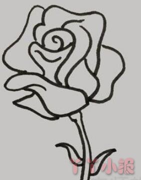 蔷薇花简笔画带颜色  蔷薇花怎么画简单又好看带步骤