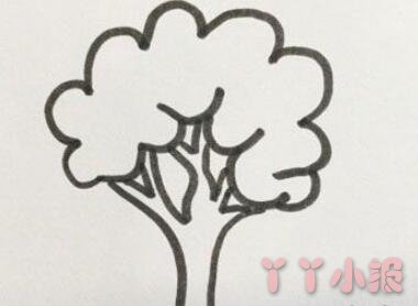 儿童简笔画树木怎么画涂色简单又漂亮带步骤