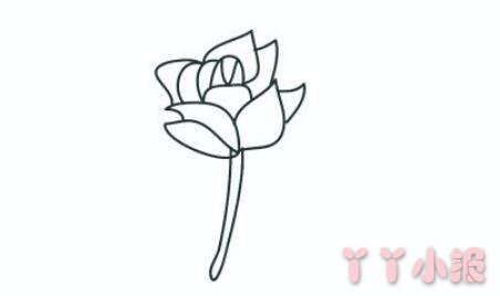 玫瑰花的画法步骤涂颜色 玫瑰花简笔画图片