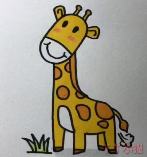 长颈鹿的画法步骤涂颜色 长颈鹿简笔画图片