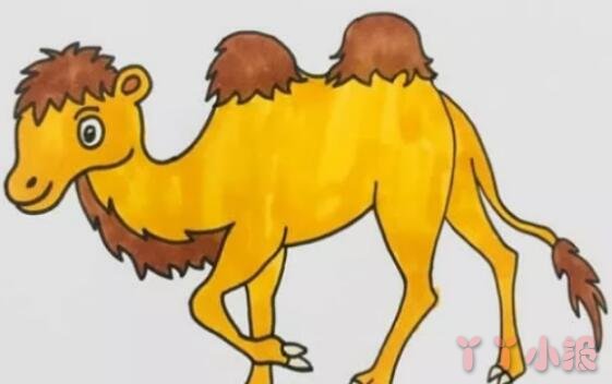 骆驼的画法步骤涂颜色 骆驼简笔画图片