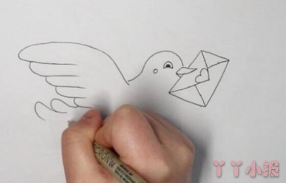 鸽子的画法步骤涂颜色 鸽子简笔画图片