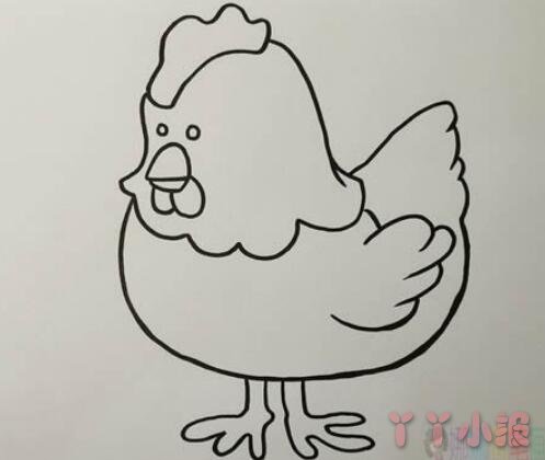 母鸡的画法步骤涂颜色 母鸡简笔画图片